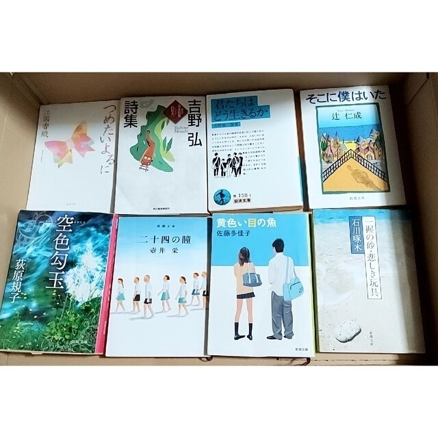文庫本(児童文学・一般小説・詩集・純文学・SF) 計33冊 まとめ売り