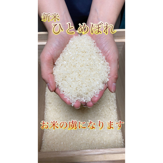 格安新米ひとめぼれ　埼玉県熊谷産　専業農家　玄米20キロ　白米にもできます！