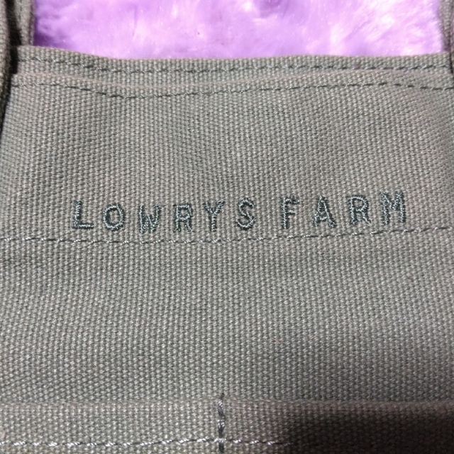 LOWRYS FARM(ローリーズファーム)のLOWRYS FARM　ミニトートバッグ レディースのバッグ(トートバッグ)の商品写真