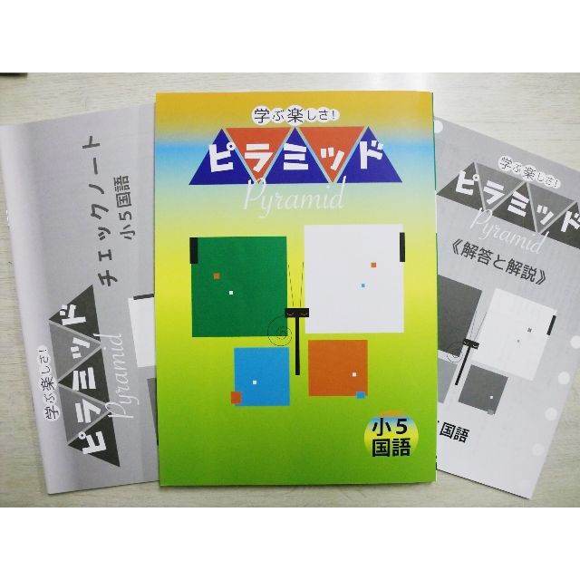 塾専用教材　小学５年国語　ピラミッドとピラミッドリル エンタメ/ホビーの本(語学/参考書)の商品写真