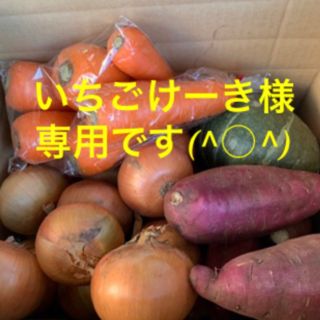 いちごけーき様専用です！(野菜)