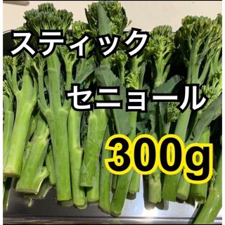 無農薬　栽培　スティックセニョール　300g(野菜)