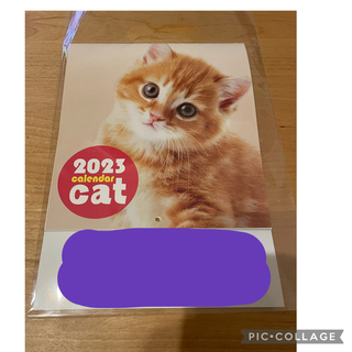 カレンダー　子猫　2023年(カレンダー/スケジュール)