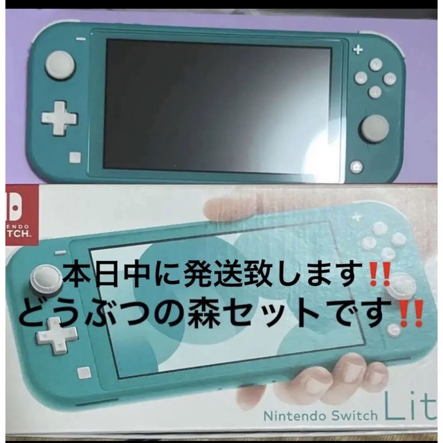 ゲームソフト/ゲーム機本体Nintendo SwitchLight グリーン どうぶつの森セット