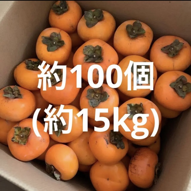 柿　約15kg 食品/飲料/酒の食品(フルーツ)の商品写真