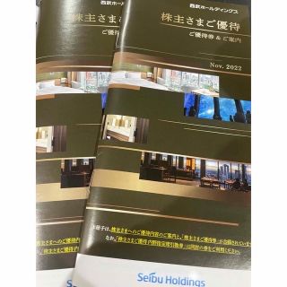 【共通割引券30枚】西武鉄道 株主優待 冊子　3冊（スキーリフト割引券除く）(その他)