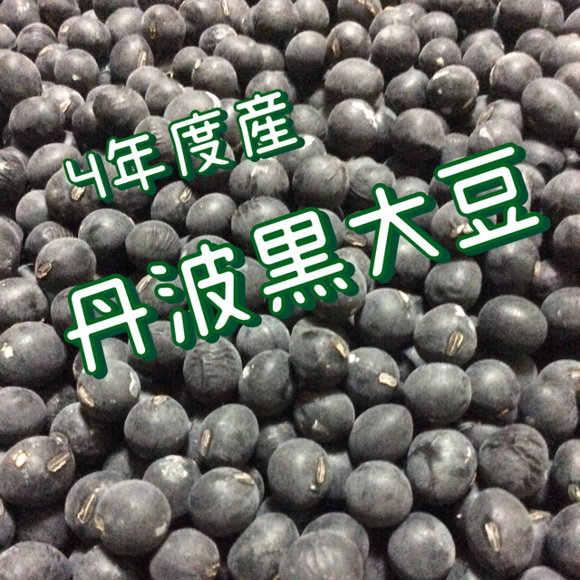 京都丹波 黒豆 丹波の黒大豆 500グラム 食品/飲料/酒の食品(米/穀物)の商品写真