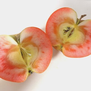 誰かに贈りたく林檎です　安曇野ムーンルージュ3000g9-12たまほど(フルーツ)