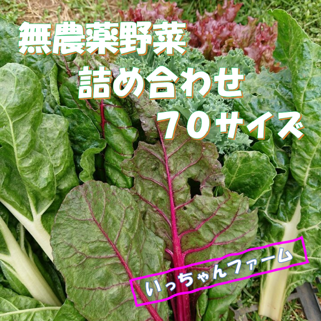 Ora様専用　冬野菜の詰め合わせ　７０サイズにて 食品/飲料/酒の食品(野菜)の商品写真