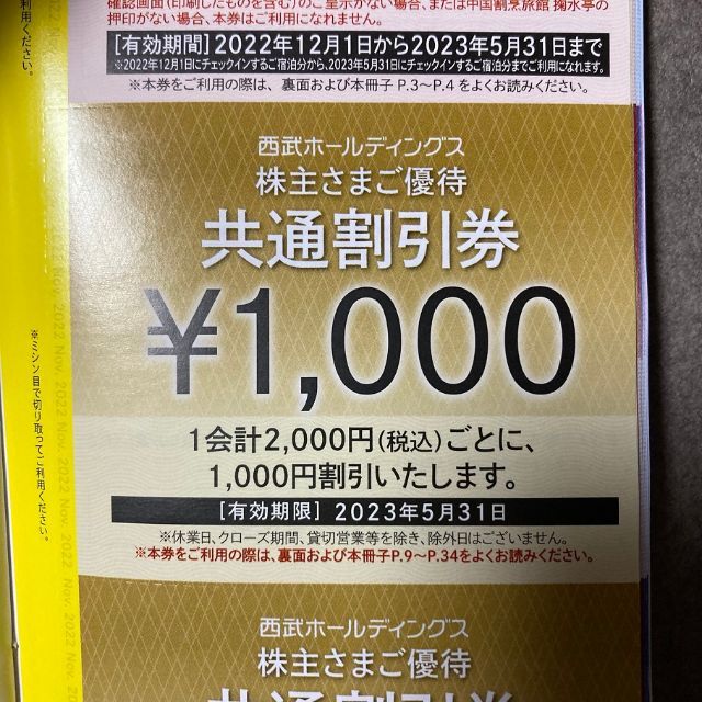 西武ホールディングス 株主優待共通割引券9枚 有効期限2022年5月31日