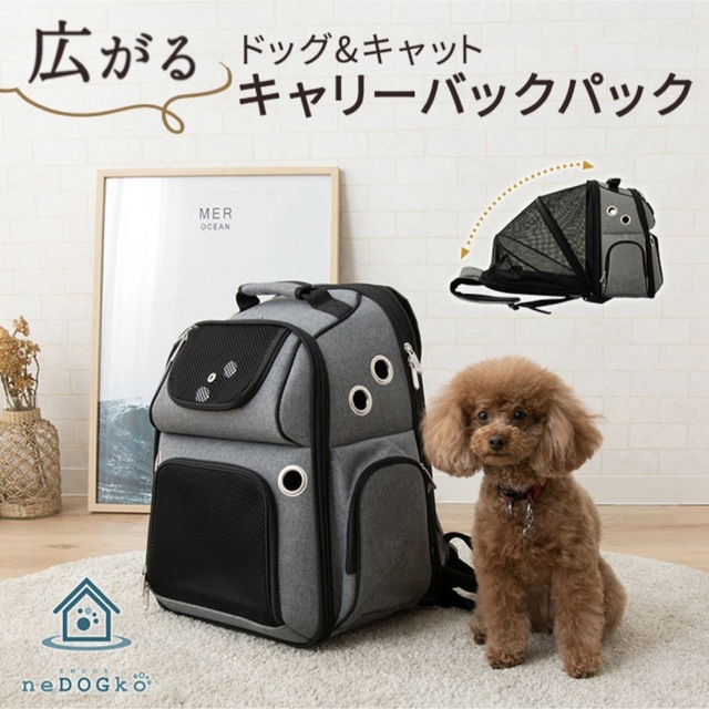 引越しのため8/25までの掲載　犬猫用　リュック　キャリーバック　 その他のペット用品(その他)の商品写真