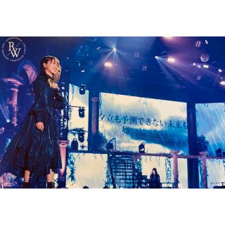 櫻坂46 菅井友香 ポストカード(アイドルグッズ)