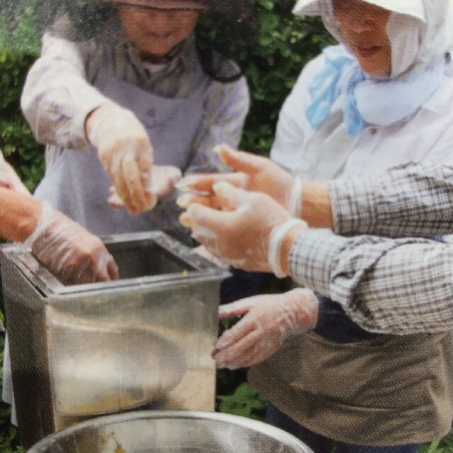 [日本蜜蜂生はちみつ]鹿児島県南薩摩養蜂園蜂蜜1㎏１本非加熱 食品/飲料/酒の健康食品(その他)の商品写真