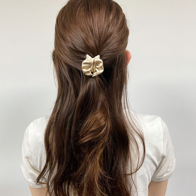 France Luxe(フランスラックス)のフランスラックス　スモール　カバー　ジョー レディースのヘアアクセサリー(バレッタ/ヘアクリップ)の商品写真