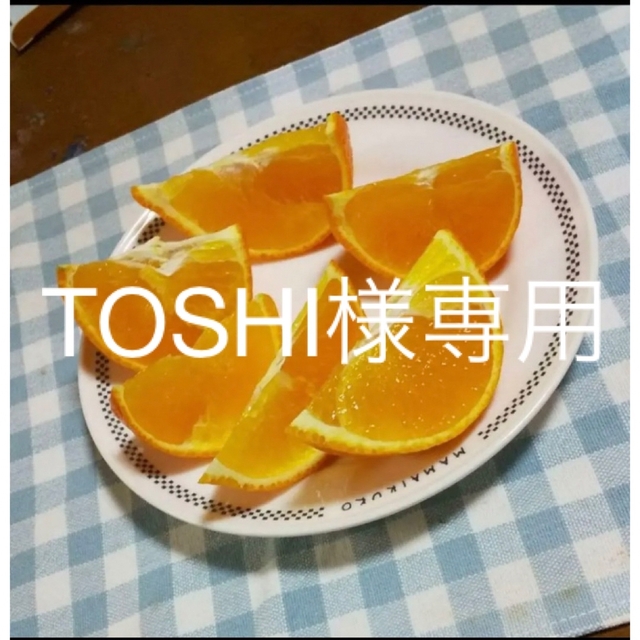 TOSHI様専用 10kg bluke.com.br