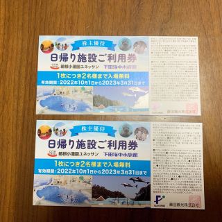 ユネッサン　下田海中水族館　株主優待 2名✖️2枚(その他)