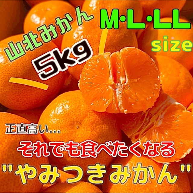 02 美味し〜い山北みかんちゃん M.L.LLサイズ 家庭用 食品/飲料/酒の食品(フルーツ)の商品写真