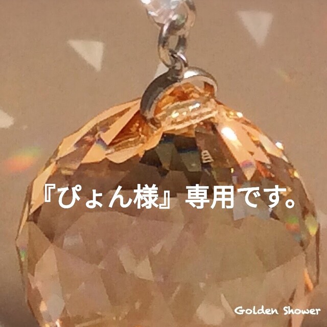 ✨『ぴょん様』専用です✨の通販 by Golden Shower 's shop｜ラクマ