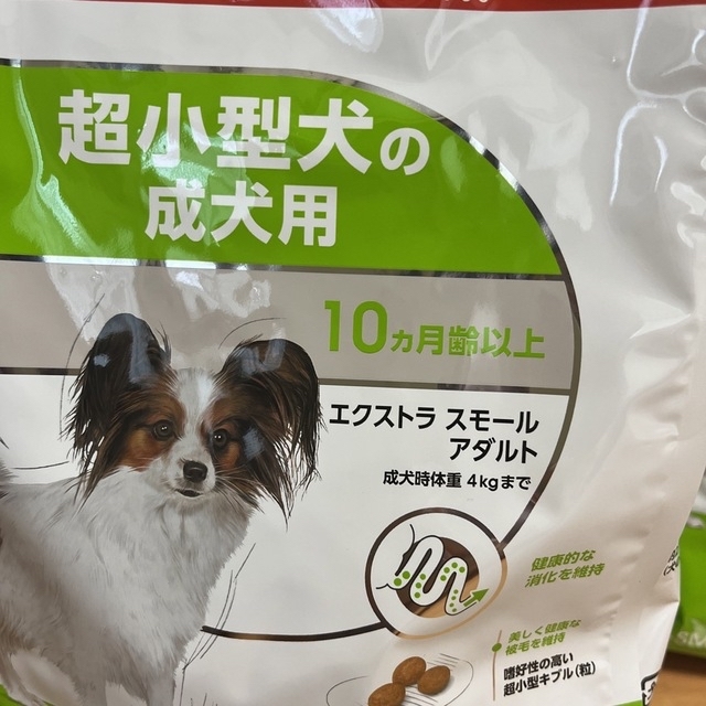 SOLD OUT ロイヤルカナン 超小型犬の成犬用10ヶ月齢以上1.5kg×7袋