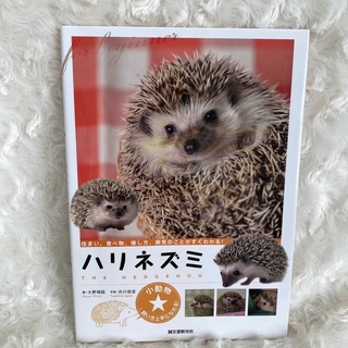 【即日発送】【訳あり】ハリネズミ飼育本(小動物)