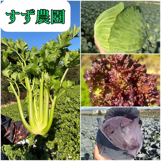 lalala様 食品/飲料/酒の食品(野菜)の商品写真