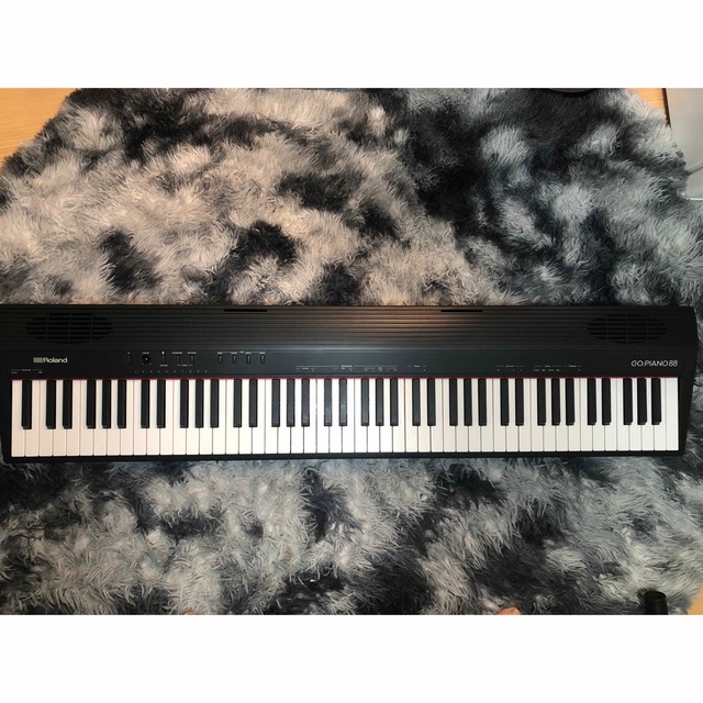 Roland Go piano88 Go-88