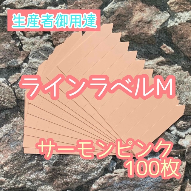 ラインラベル 中 肌100枚 カラーラベル 多肉植物 エケベリア  ハンドメイドのフラワー/ガーデン(プランター)の商品写真