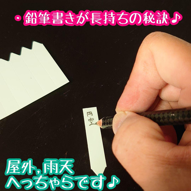 ラインラベル 中 茶100枚 カラーラベル 多肉植物 エケベリア ハンドメイドのフラワー/ガーデン(プランター)の商品写真