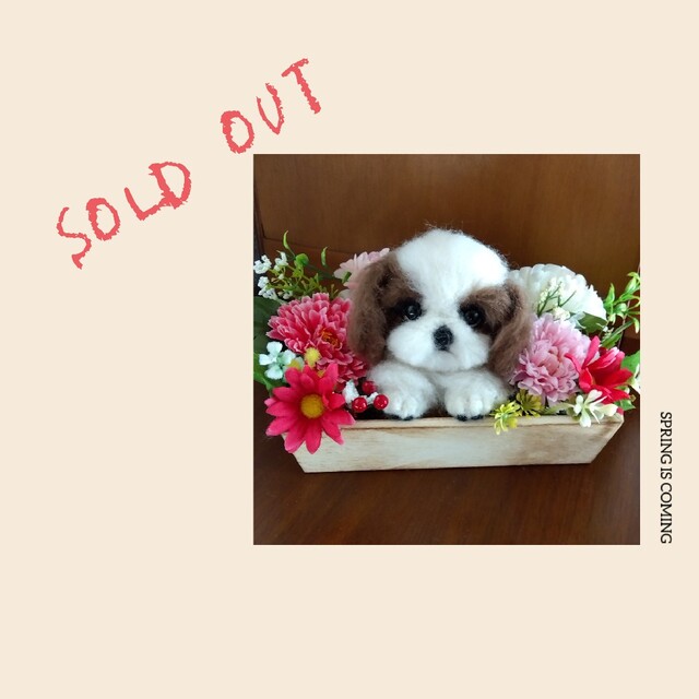 豆わんこ保育園④シーズー 一体のみ 羊毛フェルト* 犬 子犬 豆わんこ保育園④シーズー 一体のみ 羊毛フェルト* 犬 子犬