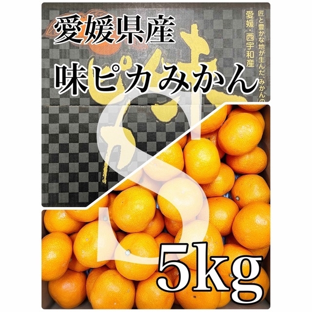 【味ピカみかん】Sサイズ5kg+ 【紅まどんな】青秀品2L 12玉 3kg