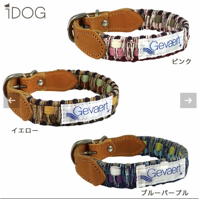 IDOG＆ICAT(アイドッグアイキャット)の首輪　IDOG&ICAT その他のペット用品(犬)の商品写真