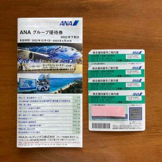 エーエヌエー(ゼンニッポンクウユ)(ANA(全日本空輸))のANA 株主優待券、グループ優待券(その他)