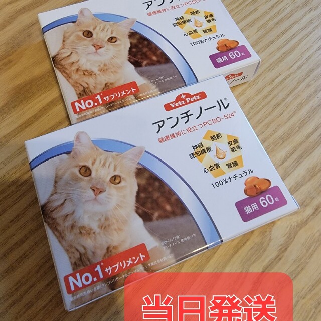 専用猫2箱