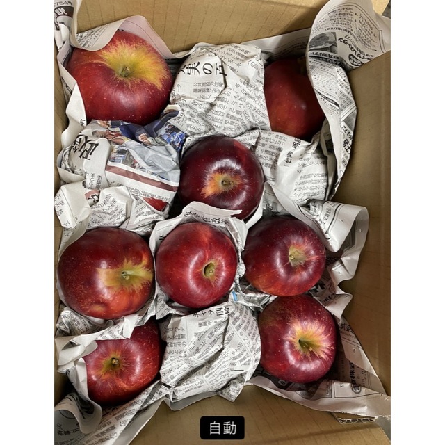 減農薬栽培山形県東根市産　昔懐かしい国光りんご　2キロ箱バラ詰め 食品/飲料/酒の食品(フルーツ)の商品写真
