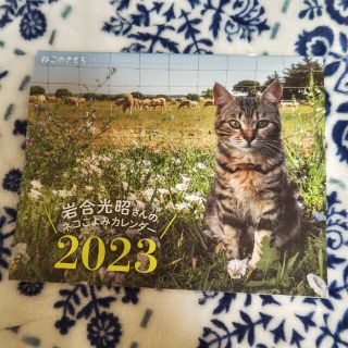 ベネッセ(Benesse)のねこのきもち【2023年】カレンダー(カレンダー/スケジュール)