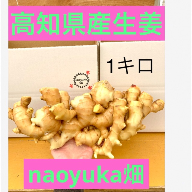 農家直送　高知県産朝採り生姜1キロ 食品/飲料/酒の食品(野菜)の商品写真