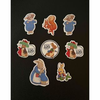 ピーターラビット(PETER RABBIT（TM）)のピーターラビット ワッペンシール 8枚セット(その他)