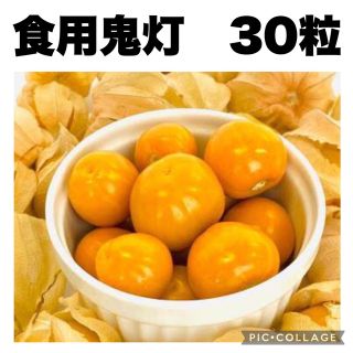 食用鬼灯　ゴールデンベリー　無農薬　無除草剤　種子　30粒(その他)