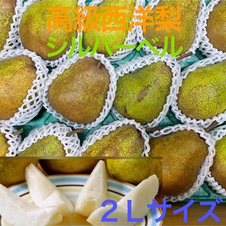 タイムセーム　15%オフ　高級洋梨　秀品＋訳あり　シルバーベル　5kg   果物(フルーツ)