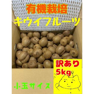 ☆和歌山県産キウイフルーツ☆小〜極小+中玉5kg【訳あり•未完熟】 (フルーツ)