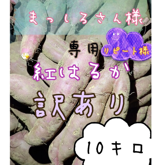 まっしろさん様専用商品です。訳あり紅はるか10キロ 食品/飲料/酒の食品(野菜)の商品写真