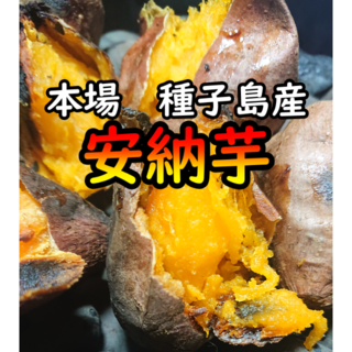 【本場】完熟！ねっとり！安納芋紅2S　5キロ【種子島産】(野菜)