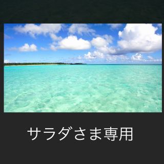 ナニワダンシ(なにわ男子)のサラダさま専用 なにわ男子 チビぬい 大西流星 初心LOVEバージョン(アイドルグッズ)
