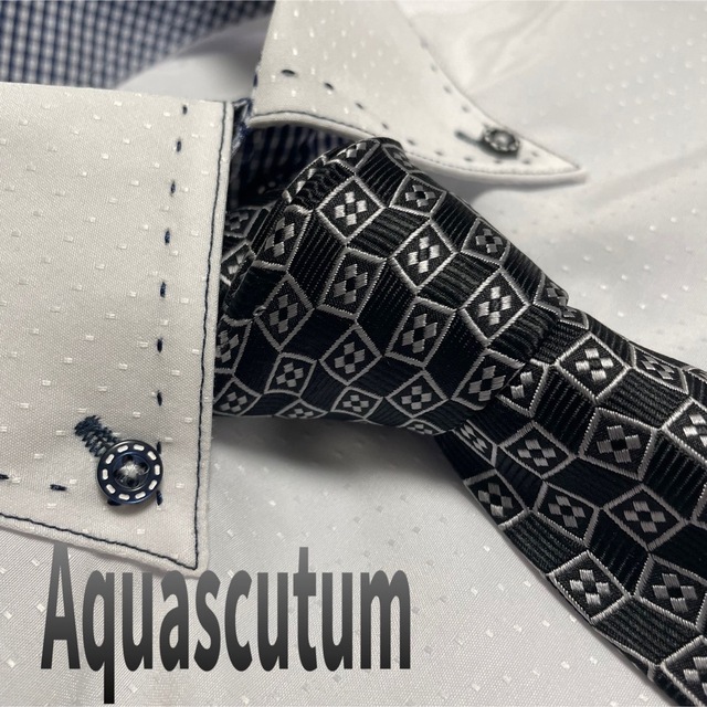 アクアスキュータム ストライプ 高級ネクタイ イタリア製 通販