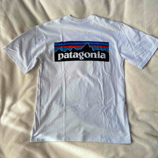 patagonia(パタゴニア)のPatagonia レディースのトップス(Tシャツ(半袖/袖なし))の商品写真