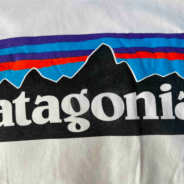 patagonia(パタゴニア)のPatagonia レディースのトップス(Tシャツ(半袖/袖なし))の商品写真