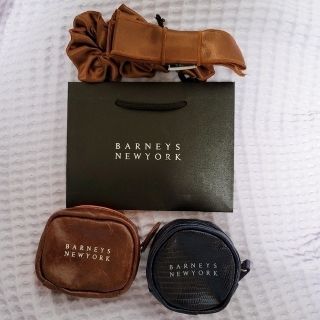 バーニーズニューヨーク(BARNEYS NEW YORK)のハッシー様専用【紙袋付３点セット】BARNEYS NEW YORK小物(ポーチ)