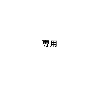 専用(その他)