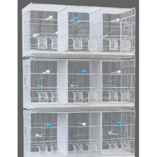 トリプルスクエアタイプ　鳥カゴ トリプル スクエアタイプ 3部屋 鳥かご 鳥小屋 鳥カゴ 鳥 ゲージ