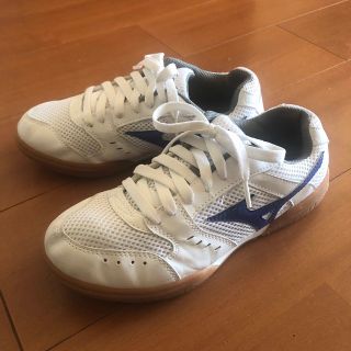 ミズノ(MIZUNO)のミズノ GYMSTAR MoonStar 体育館シューズ　23.5cm(スクールシューズ/上履き)